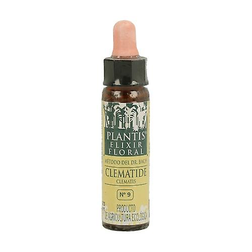 Clematide No. 9 Eco 10 ml of floral elixir