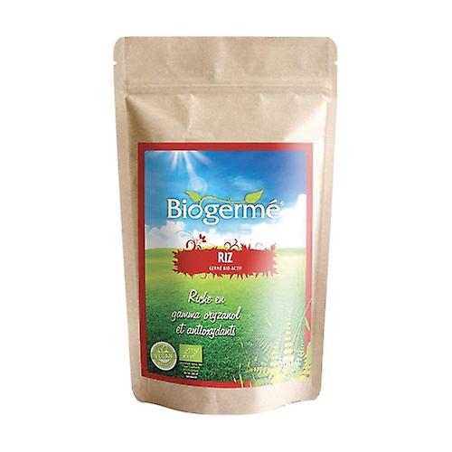 Rice 500 g of powder