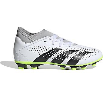 Shoes Adidas Predator Accuracy.4 S Fxg IE9496