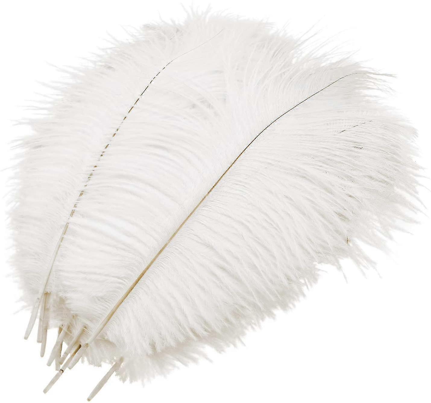 Pack Of 1 Natural Ostrich Feathers, Bouquet Feather Flower(white, 25-30 Cm)