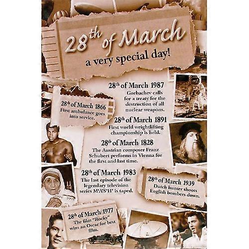 28 Miko March Series Chronicle Card Premium Quality and Stylish Designed Card