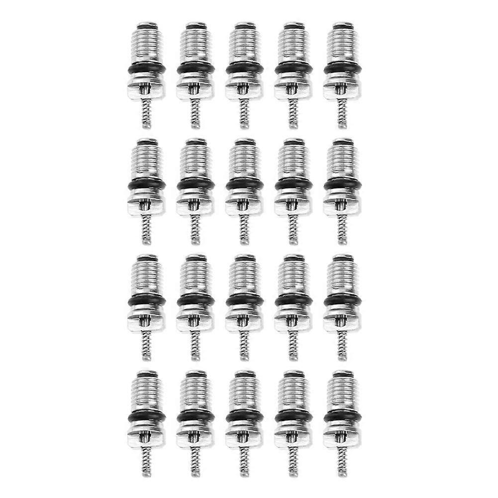 20pcs R134a αυτοκινήτων κλιματισμού κλιματιστικά εξαρτήματα αυτόματης αντικατάστασης εξαρτημάτων αυτοκινήτων πυρήνων βαλβίδων ψυκτικού μέσου κλιματισμού