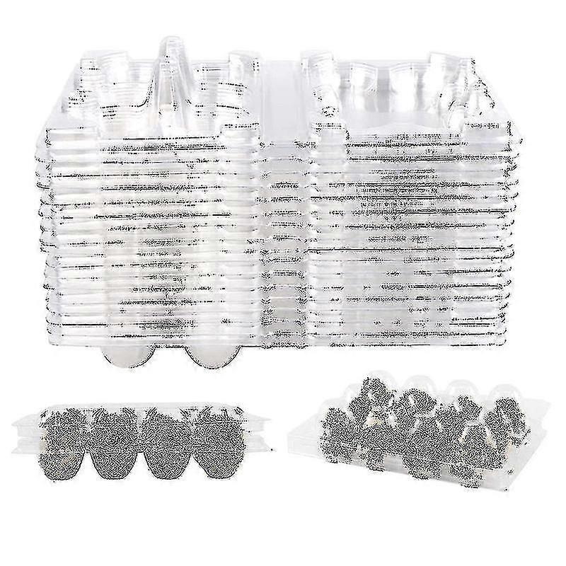 100 adet 12 Izgara Bıldırcın Yumurtası Kutusu Yeniden Kullanılabilir Bıldırcın Yumurtası Kartonları Yumurta Stora Kutusu Şeffaf Frid Stora Kutusu Mini Yumurta Dağıtıcı Soğutucu İçin Kapaklı
