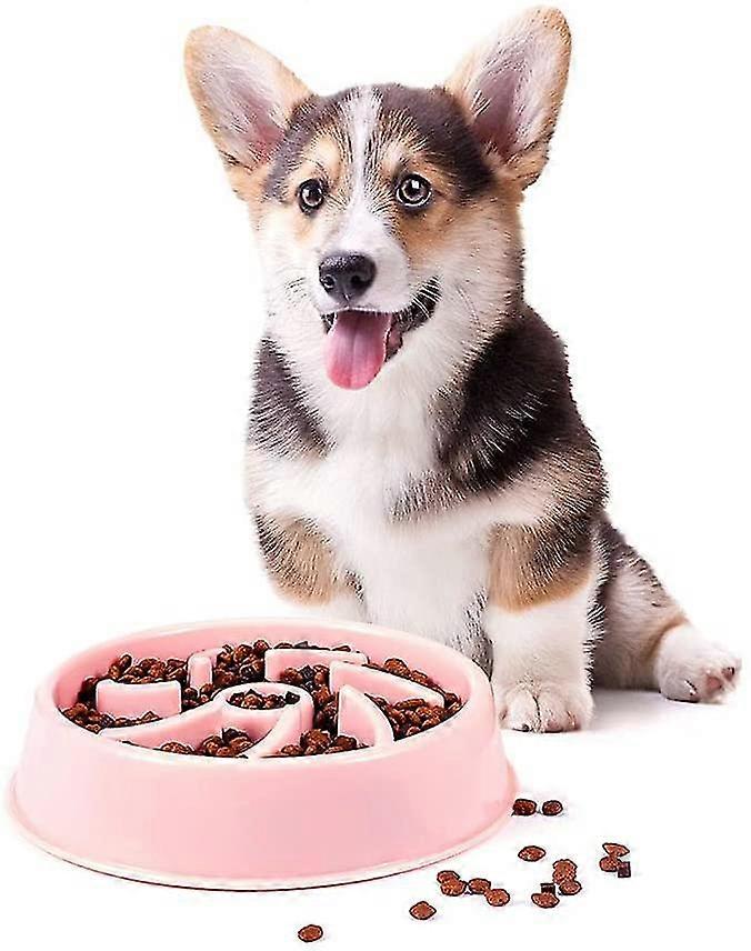 Slow Feeder Dog Bowl Non Slip Puzzle Bowl Fun Interactive Bloat Stop Pet Bowl Anti-gulping Prevent Obesity For Dog Blue