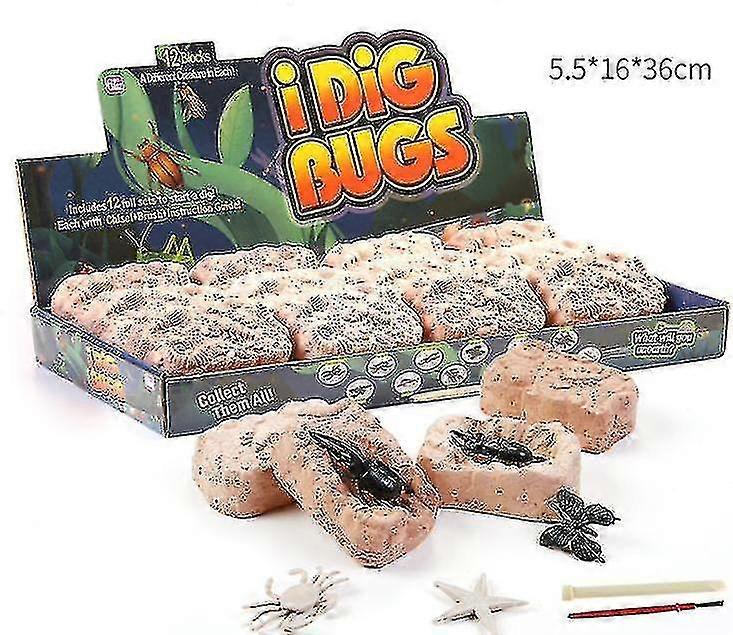 Dinosaur Eggs, Dino Dig It Up Dinosaur Eggs Dinosaurs Hatching Science Toys Giftsgroup2