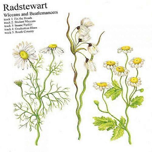 Radstewart Wiccans and Beatlemancers CD EP (2014) NEW