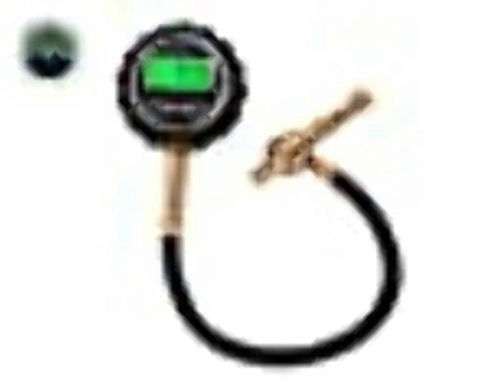 OVS 12010001 Digital Tire Gauge with Valve Kit Storage Bag