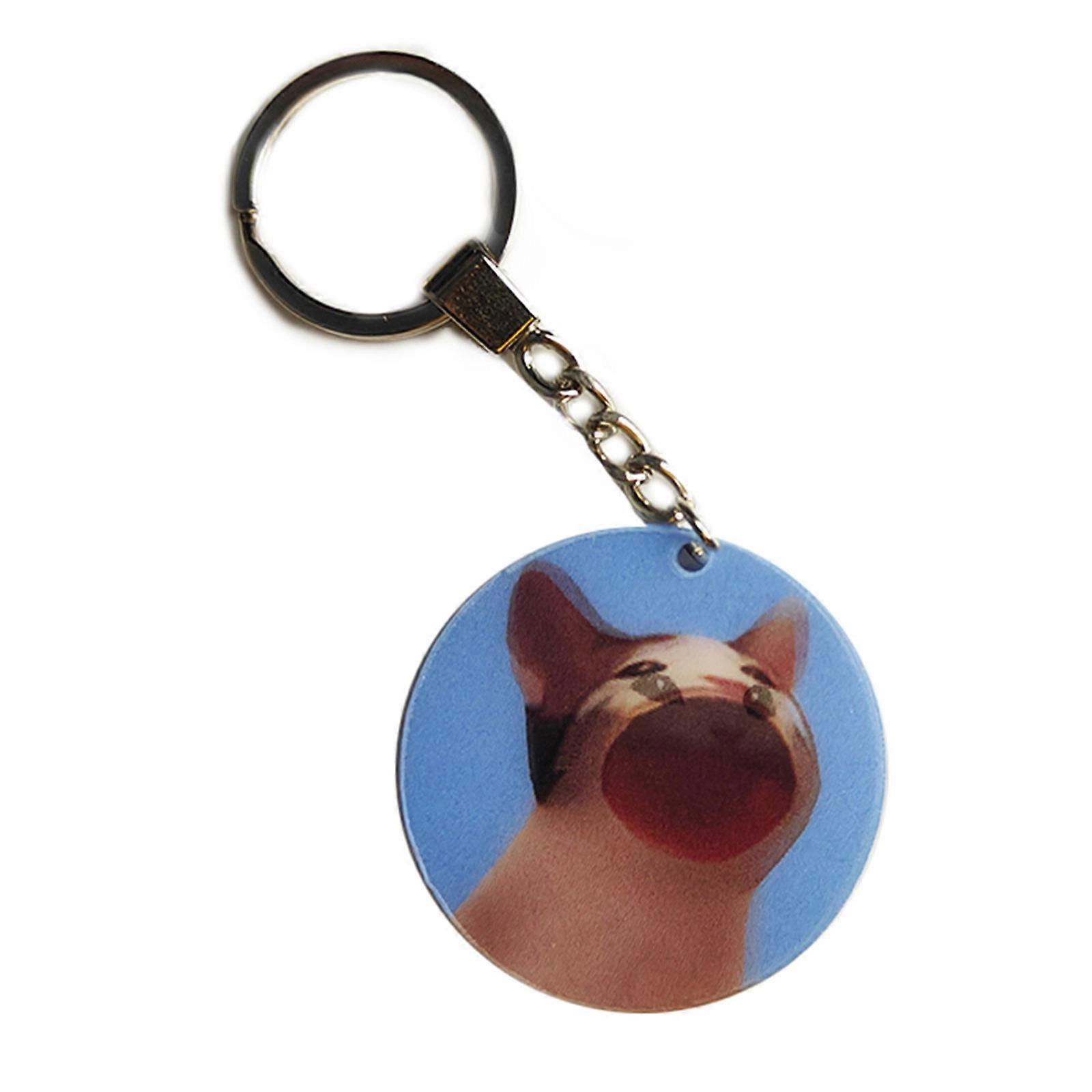 High Definition Dynamic Cat Key Chain Personality Acrylic Keychain Eye Catching Round Shape Holographic Keyring Ornament