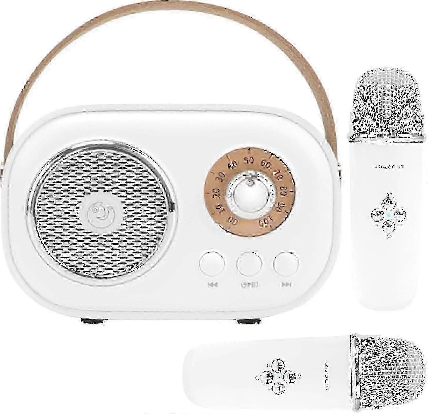 Mini Karaoke Machine with 2 Wireless Mics for Kids