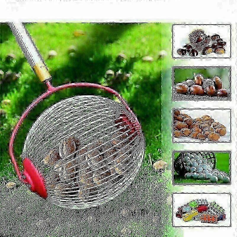 Nut Picker Upper Chestnut Picker Roller With Telescopic Pole Collection Roller Collection Basket - The Smallest Fruit Picking Machine For Nuts (Large