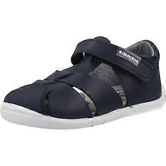 Respectvolle Titanites L500 Felix