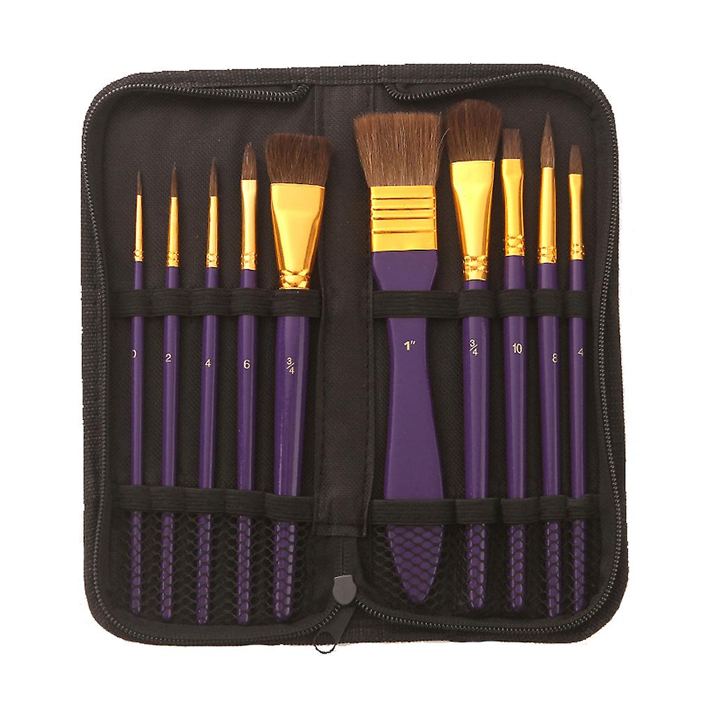 10 Pcs Professional Paint Brushes Set for Painting Beginners and Lovers