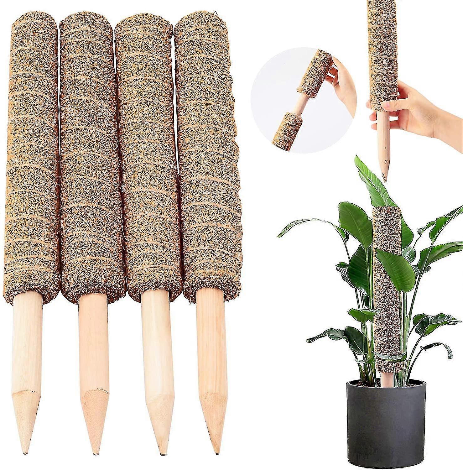 πόλοι βρύων 64inch για τα φυτά, πόλος βρύων 4 πακέτων 16' υποστήριξη φυτών ραβδιών πόλων τοτέμ κοκοφοίνικα για αναρρίχηση φυτών εσωτερικού χώρου, μόνστερα και λουλούδια