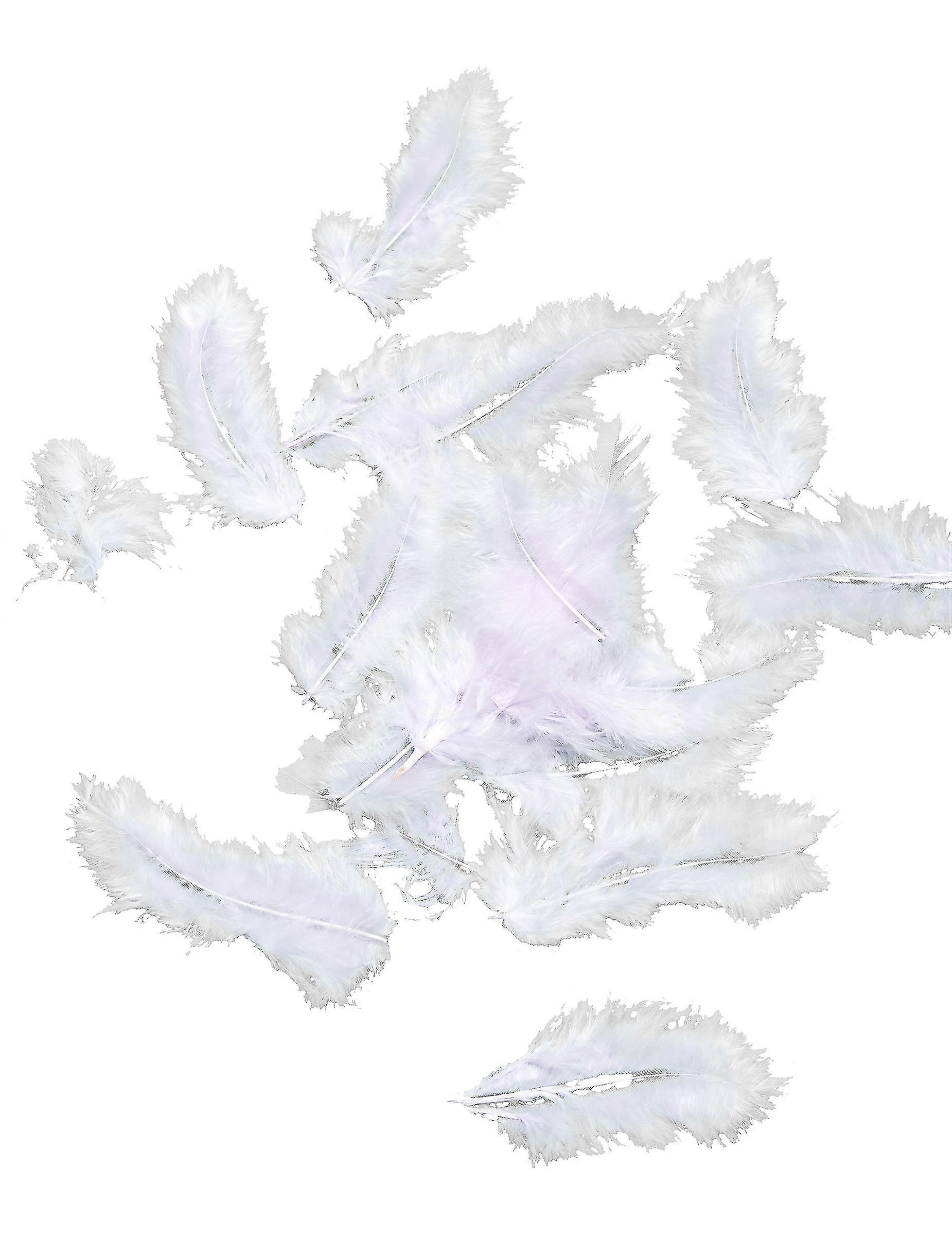 20 Decorative feathers parma 5,5 cm