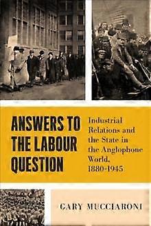 Answers To The Labour Question by Gary Mucciaroni Paperback Book