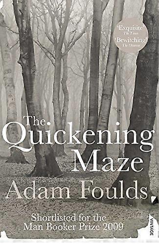 The Quickening Maze