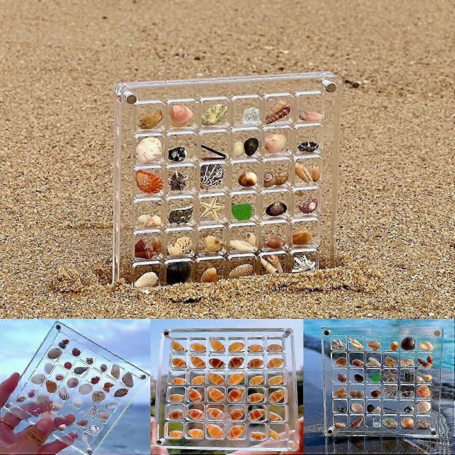 Acrylic Magnetic Seashell Display Box, 36/64 Grids Seashell Storage Box Display Case Decorative Seashell Starfish Trinket, Small Craft Organizers