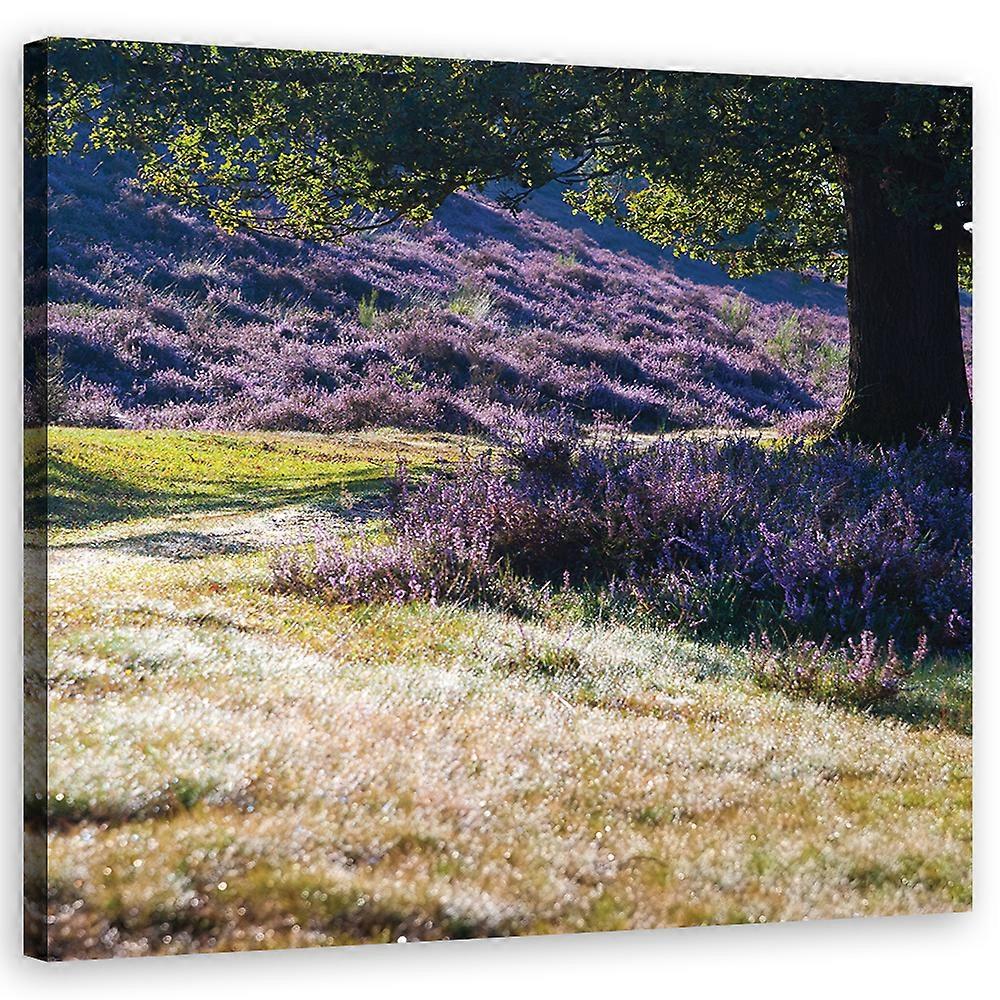 Fotobehang, Landschap - Paars - 60x60