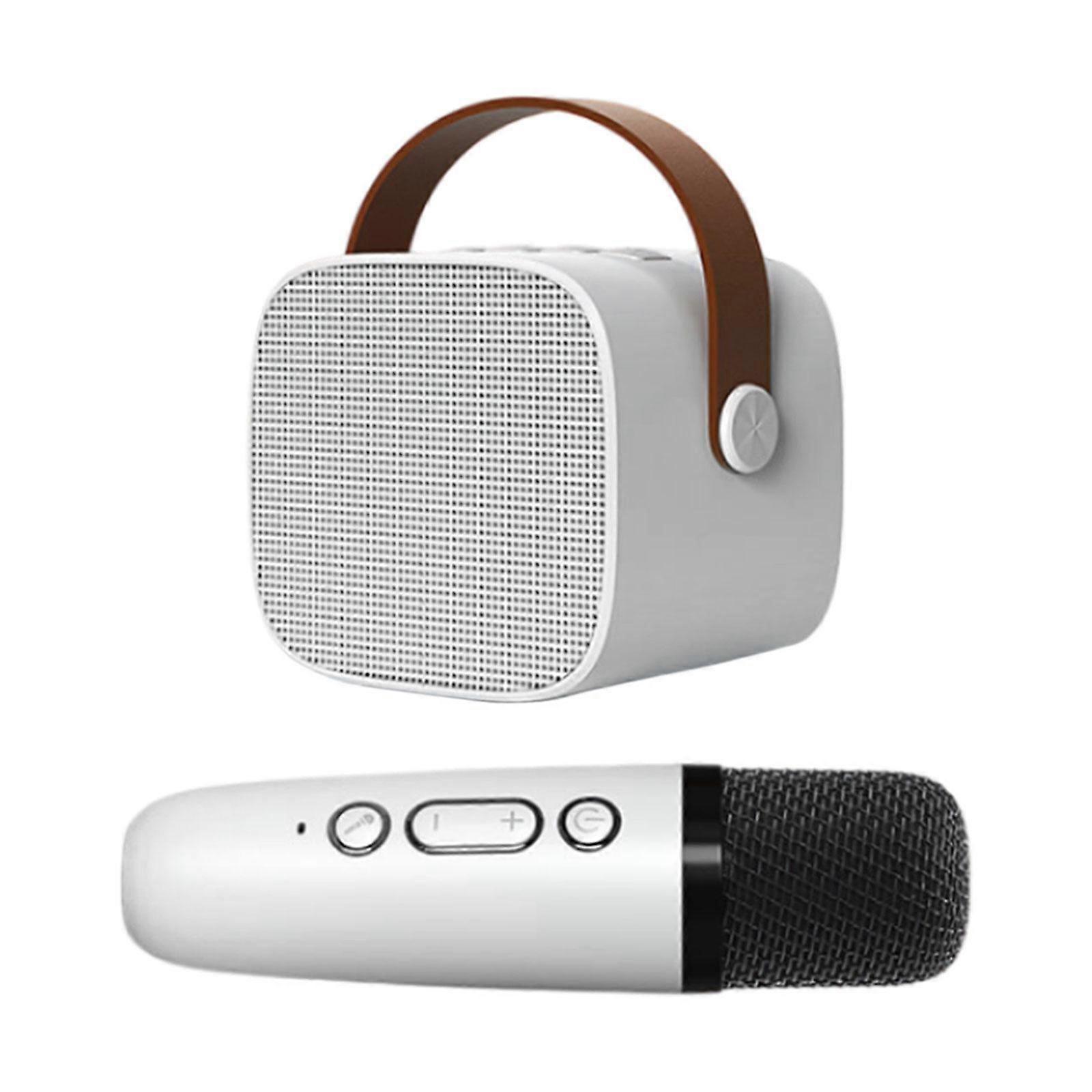 Sınıf Ailesi için Kablosuz Karaoke Seti Taşınabilir Bluetooth Hoparlör