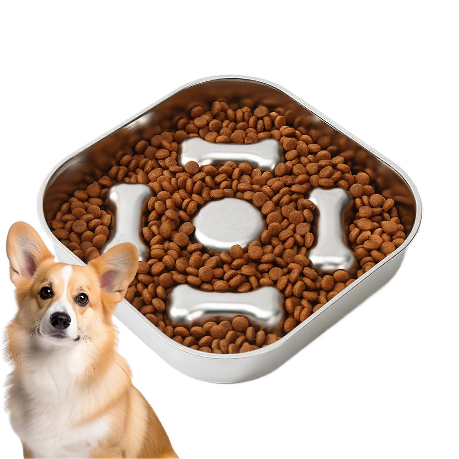 Antichoking slow feeder for medium large dogs cats at home