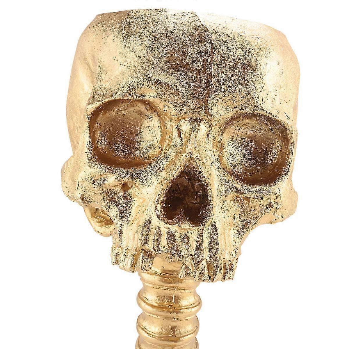 Resin Skull Planter Set with Spine Stand & Polyresin Skulls, Halloween Retro Human Skull Decoration