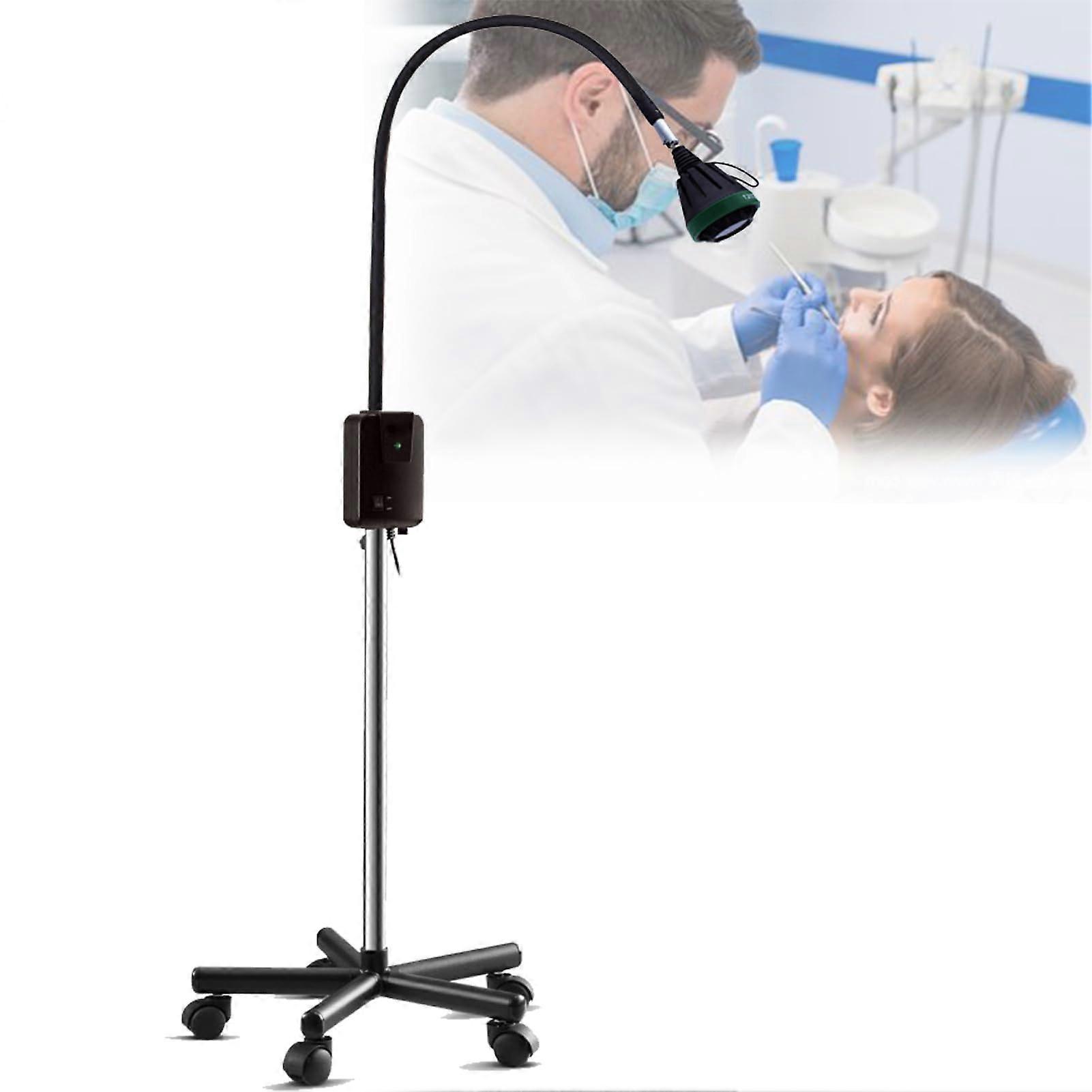 35W LED Oral Halogen Flexible Gooseneck Exam Light For Gynaecology (D), Pet Examination Light, Surgical Examination Lamp