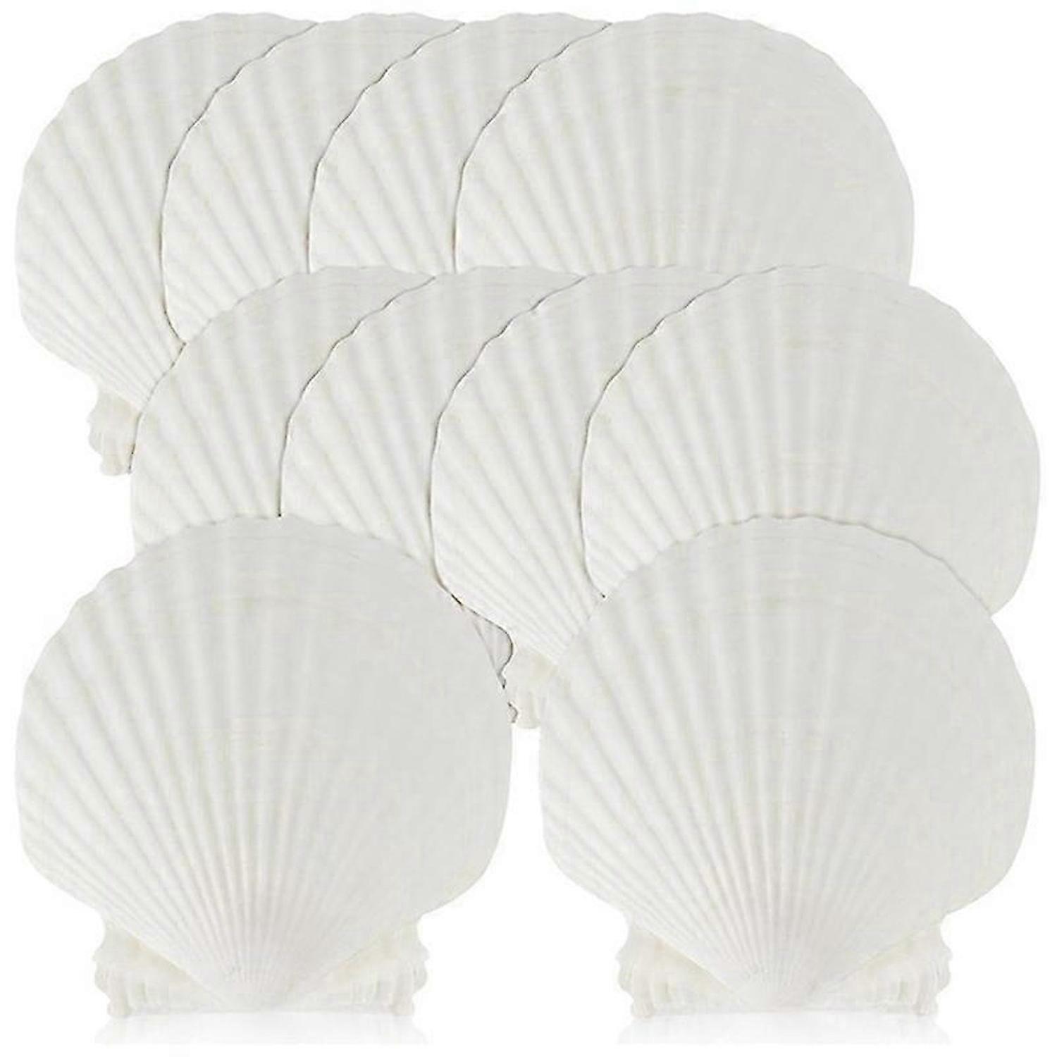 15 PCS Natural Sea Shell Large White, 4-4.7 Inch Scallop Shells