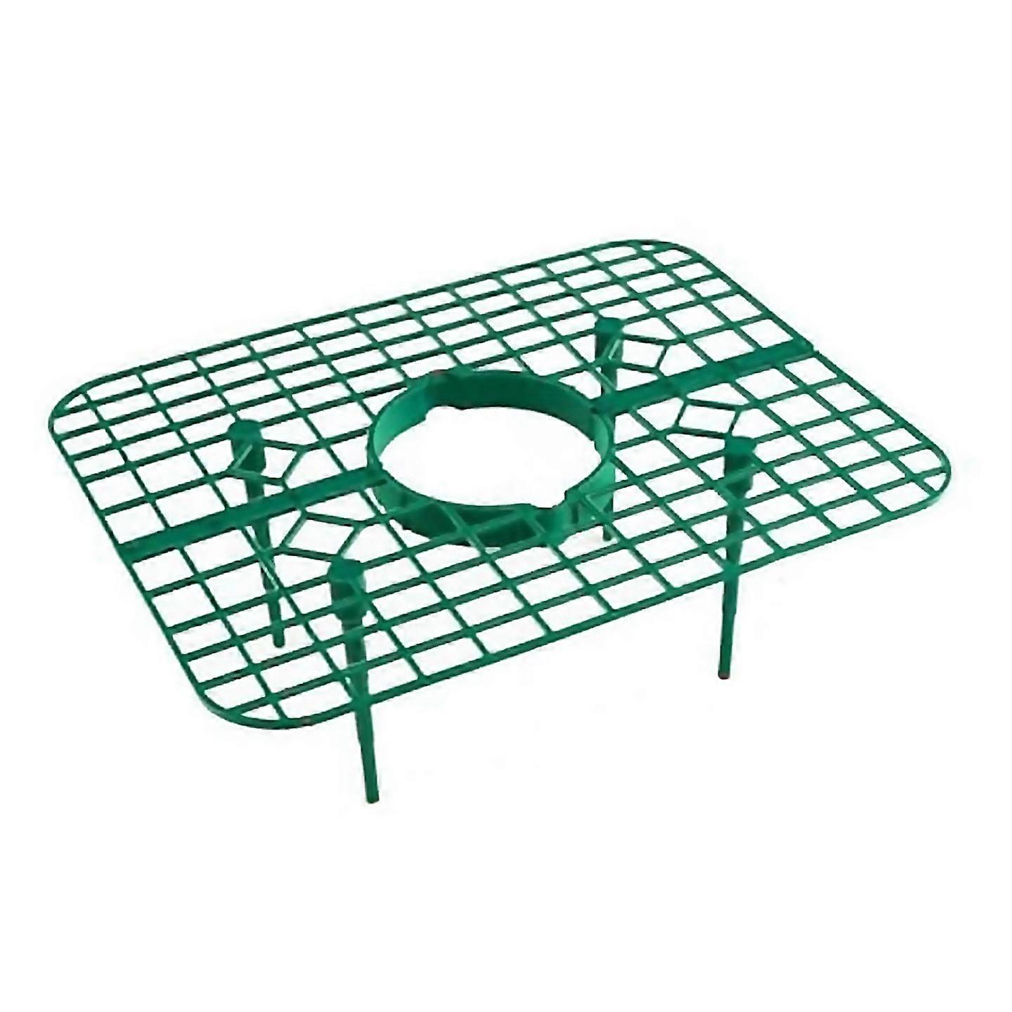 For 10pack Strawberry Plant Support Strawberry Growing Frame