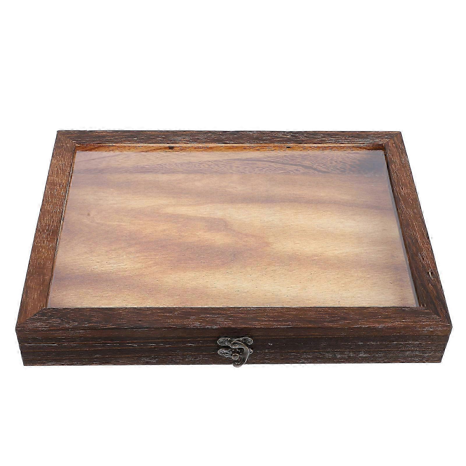 Insect Specimen Display Case Dustproof Specimen Case Butterflies Storage Box
