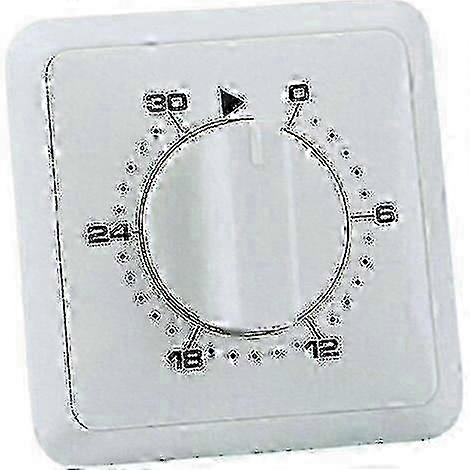 Timer compatible with Recessed Mounting Analog Day Program 30 Min
