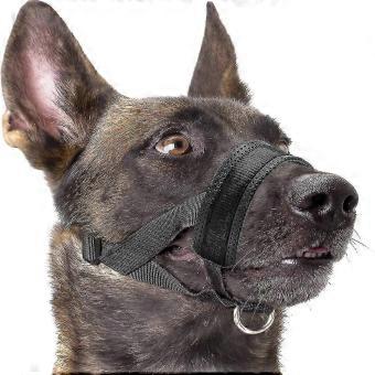Nylon Soft Dog Muzzle, Anti-bit, Anti-bark, Anti-chew, Adjustable Ring (xl, Black) New_1