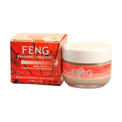 Ginger Balm (Red Box) 50 ml
