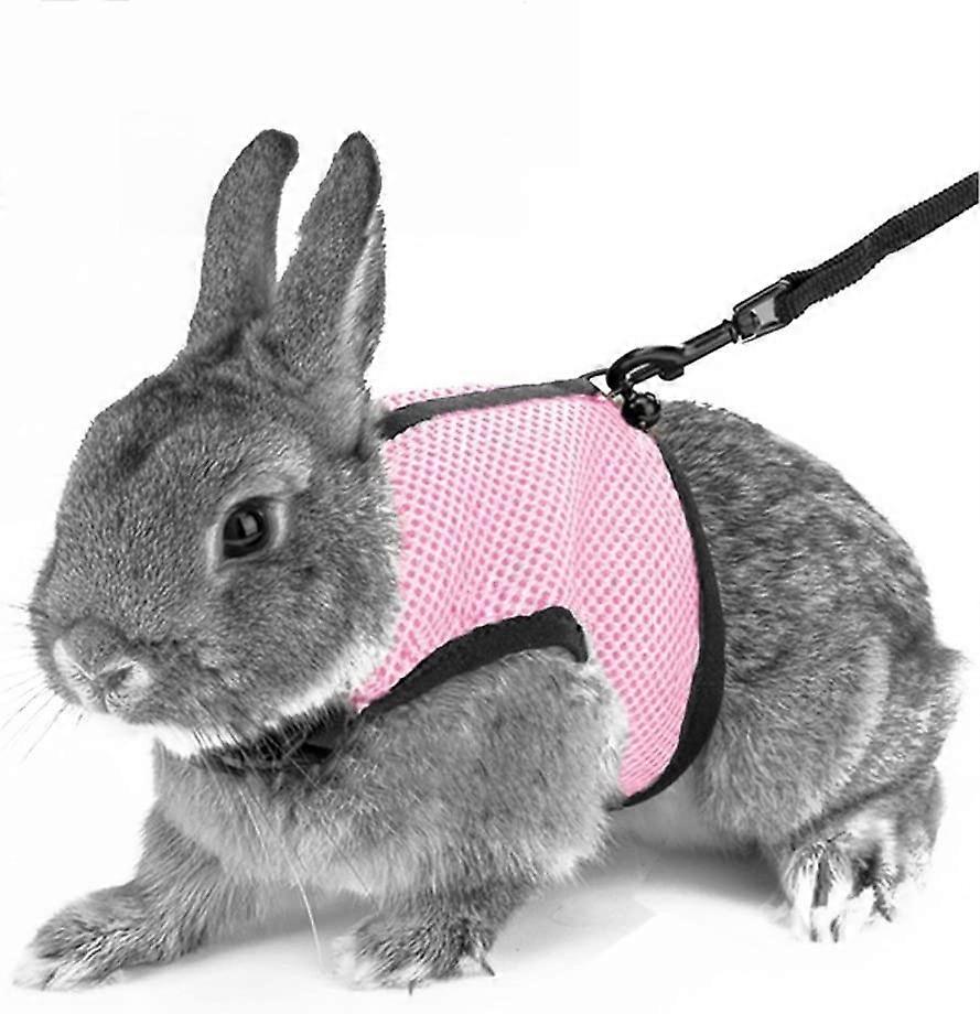 Soft Harness With Leash For Rabbits Hamsters Cats, S, Pink
