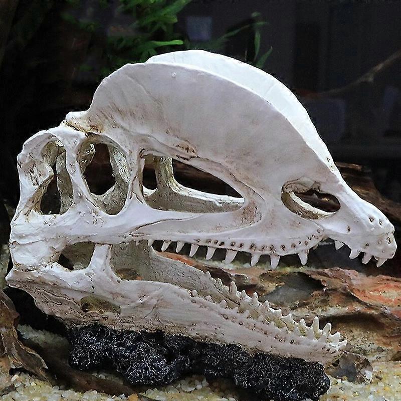 Aquarium Fish Tank Dinosaur Head Skull Ornament Resin Crafts Halloween Props Popular Science Tools