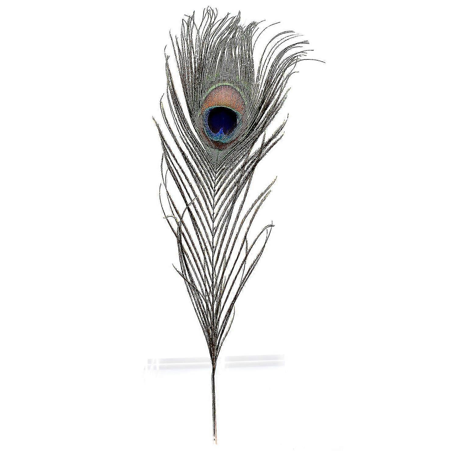 Pack Of 12 Peacock Feathers Approx 10" To 12" Inches Natural Peacock Eye Feathers