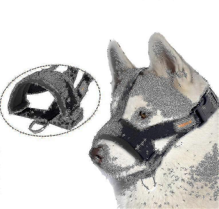 Dog Muzzleanti-biting Barking Secure, soft Mesh pustende kjæledyr snute for hunder-AM
