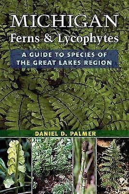 Michigan Ferns and Lycophytes