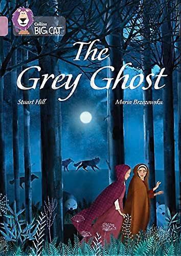 The Grey Ghost: Band 18/Pearl (Collins Big Cat)