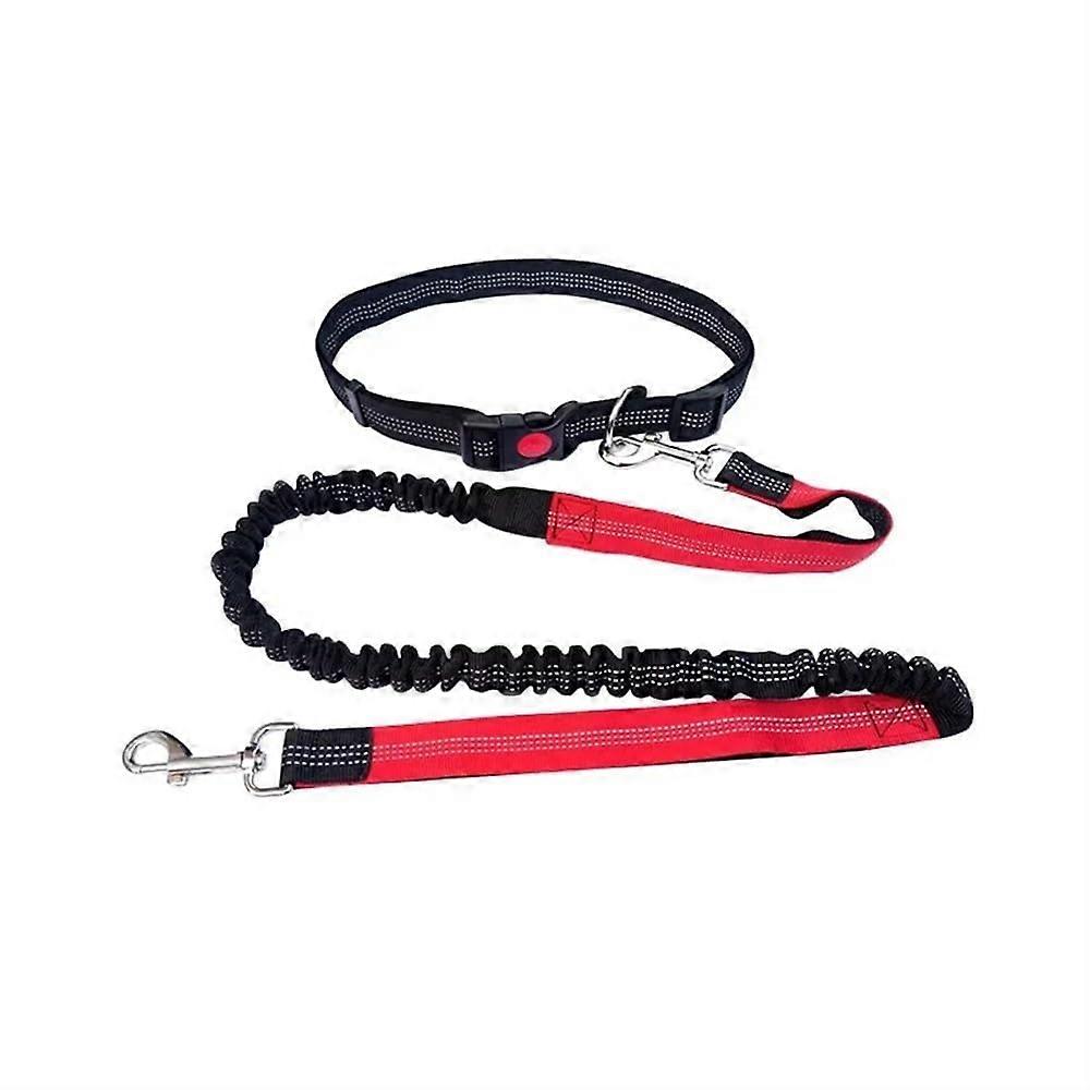 Durable, elastic nylon dog leash for running and walking, with a comfortable grip, ideal for active dogs and owners (Black/Red) black / red.