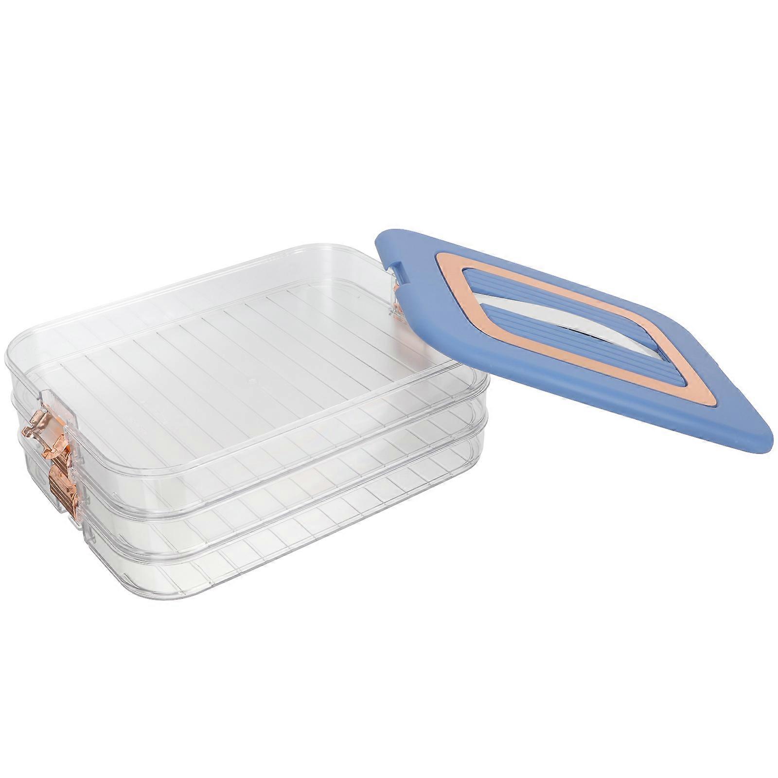 Blue Plastic Fridge Storage Case for Dumplings with Multilayer Design and Lid to Keep Fresh