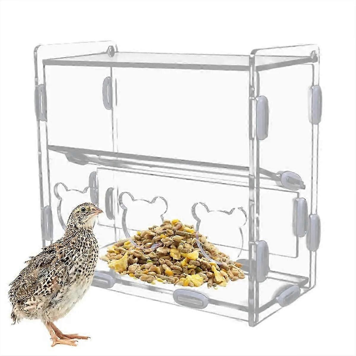 Parrot Feeder Box Acrylic Feeding Container