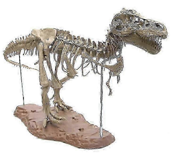 Children's Toy Dinosaur Fossil Skeleton Simulation Model Decoration