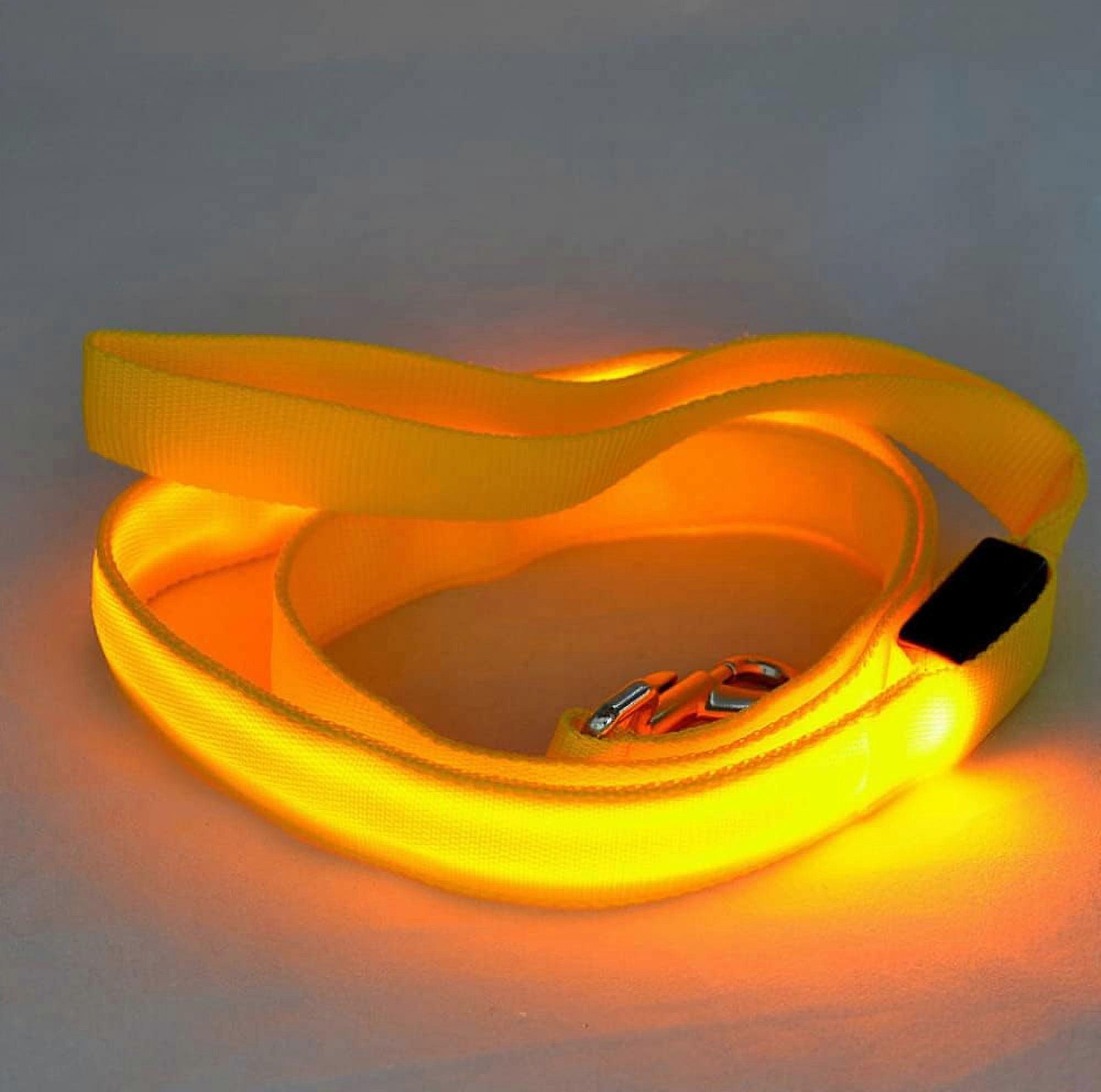 LINLIN LED Dog Leash, Light Up Dog Leash USB Light UP Rechargeable Nylon Dog Leash with 3 Mode Weatherproof