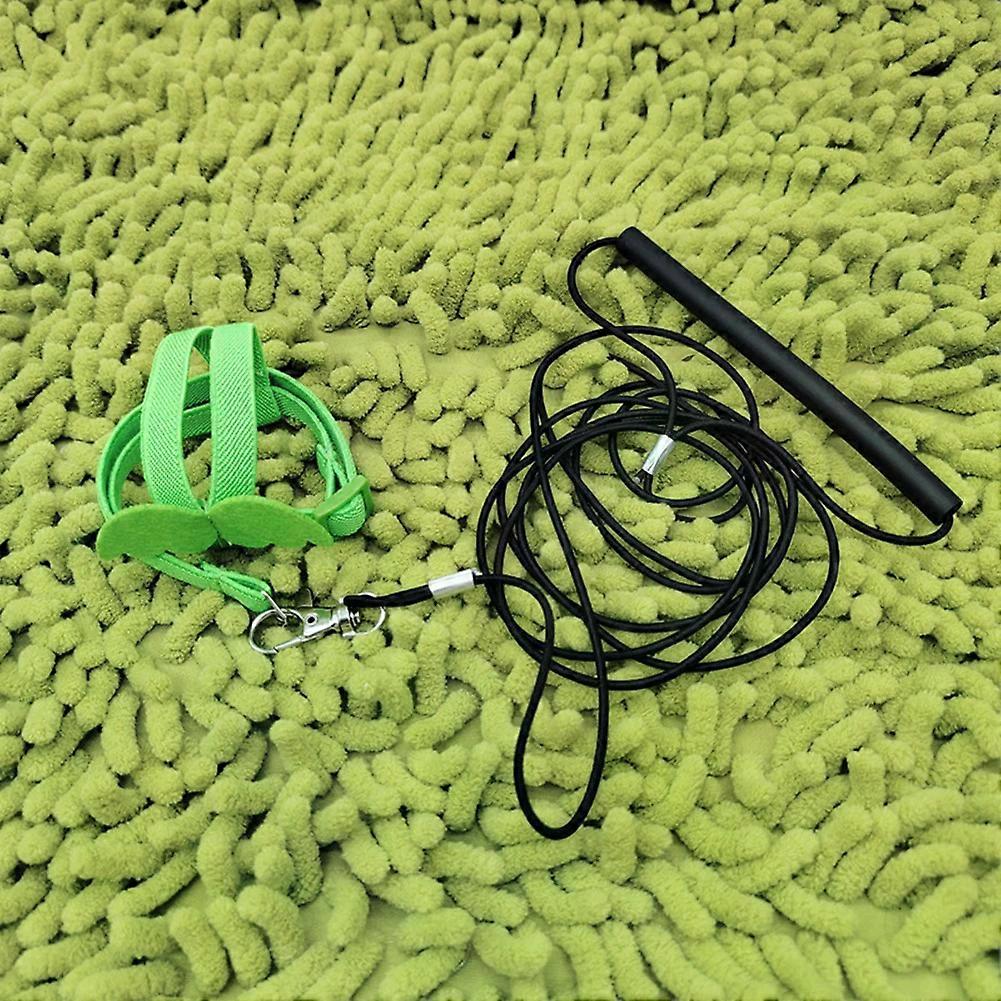 Parrot Bird Flying Traction Rope Bird Harness Leash Adjustable Ultra-light with Comfortable Handle Flying Traction Straps Band