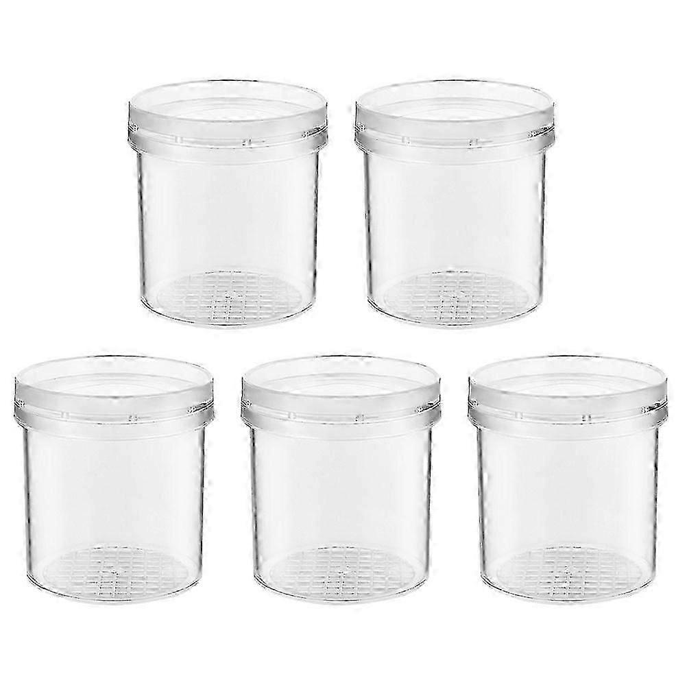 5Pcs Bug Viewer Box Magnifying Insect Box Bug Magnifier Container Box Science Nature Exploration Tools