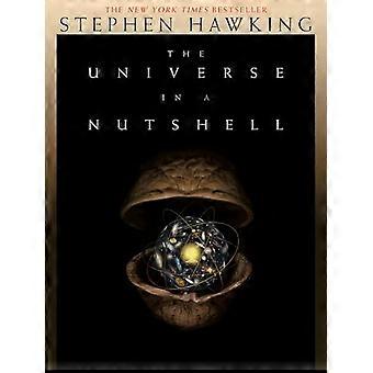 Das Universum in einer Nussschale