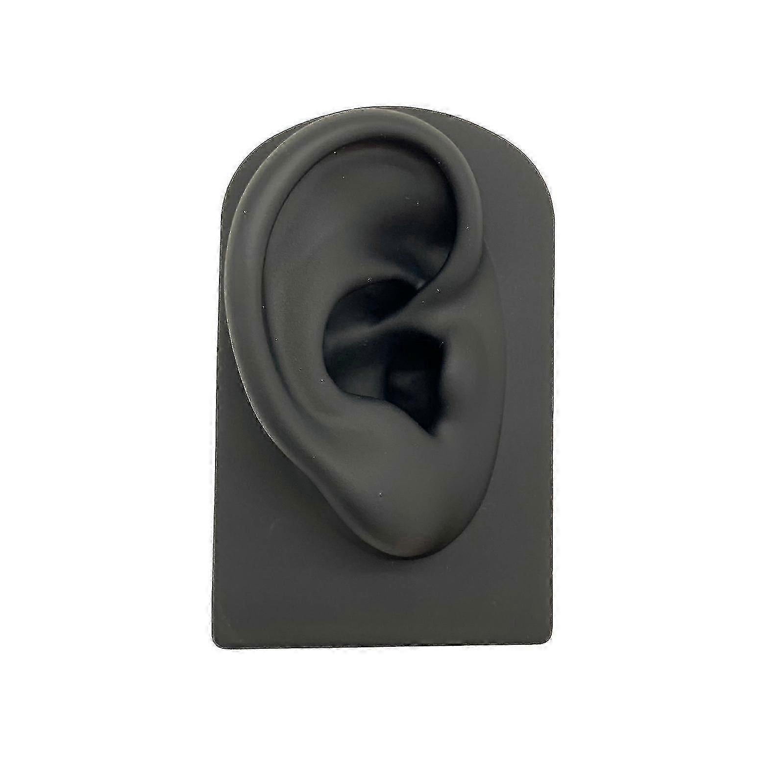 Silicone Ear Model Inverted Toy Display Props