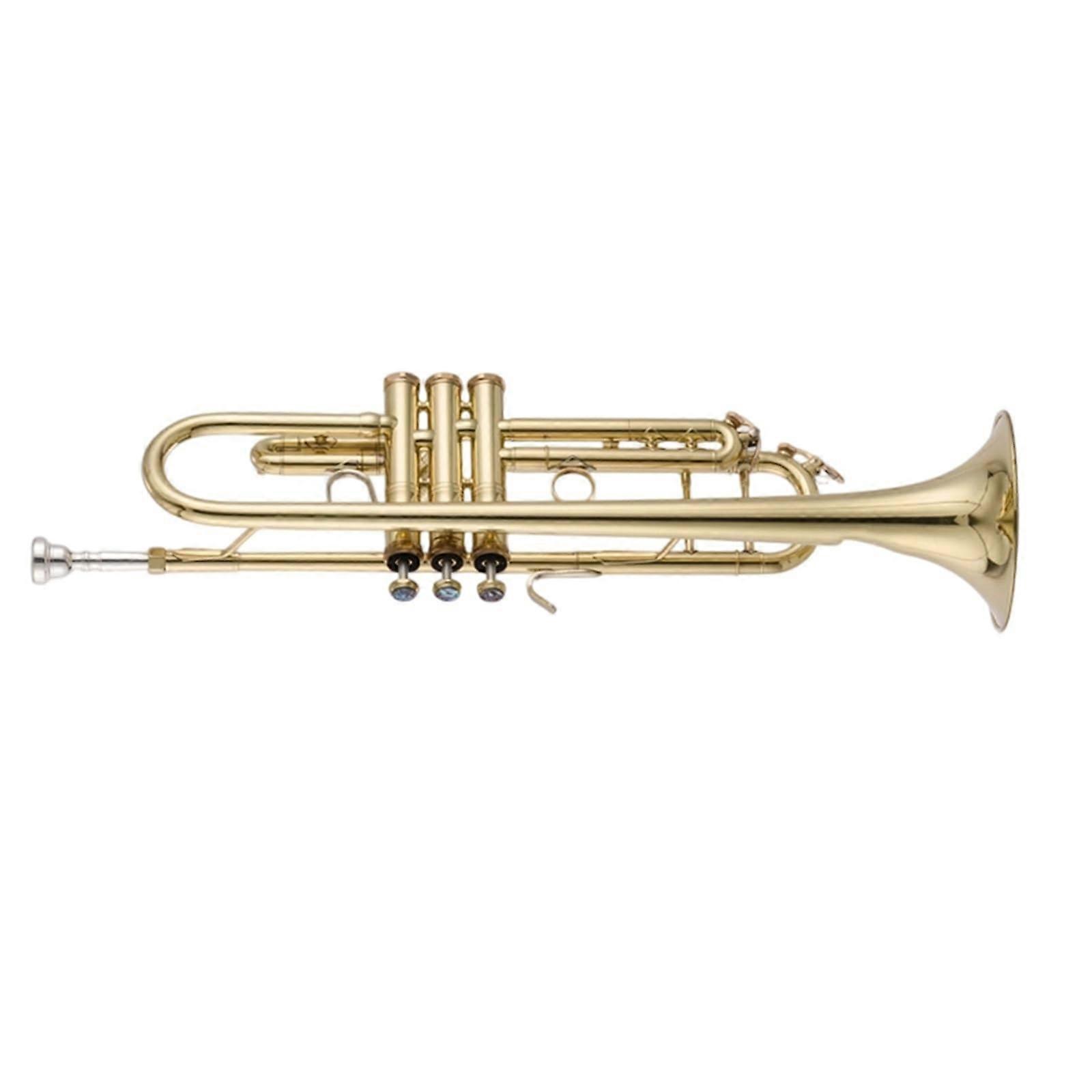 B Flat Trumpet for Beginners Gold Lacquer Brass Easy Learning Durable Construction Versatile Tone
