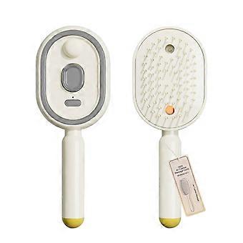 Electric Spray Air Cushion Massage Comb, Spray and Massage Hair Brush with water spray, Self-Cleaning Anti-Tangle,Anti-Static for Frizzy Hair Scalp Ca
