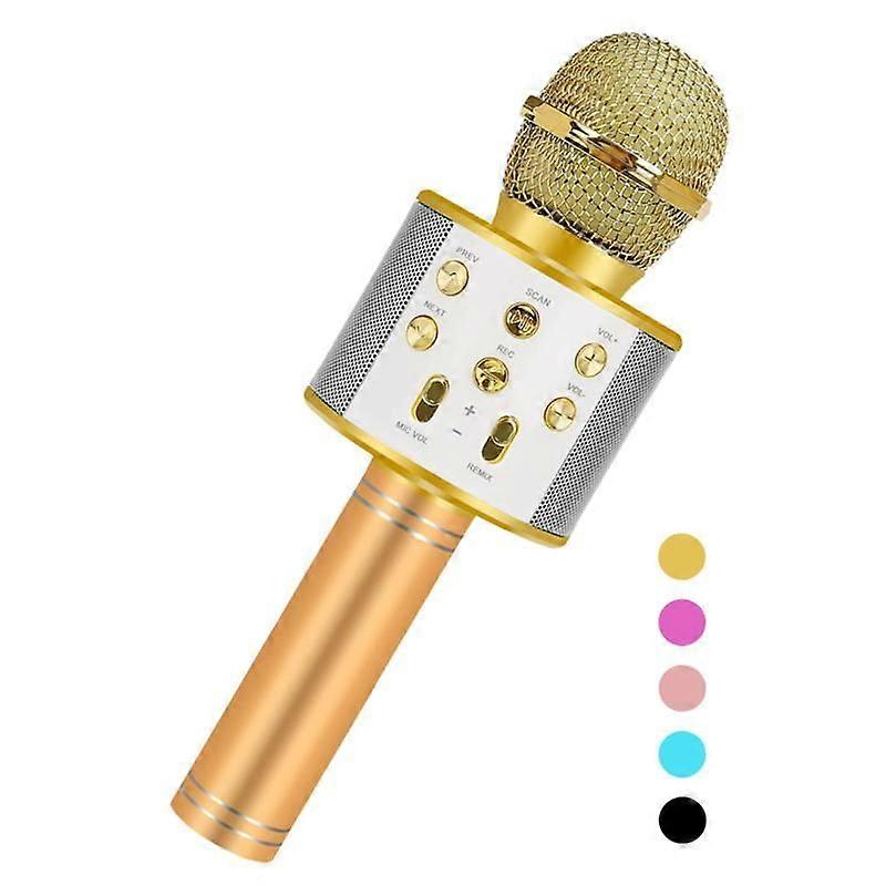 Karaoke mikrofon pro děti handheld